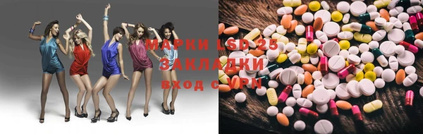 индика Баксан