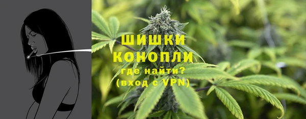spice Балахна