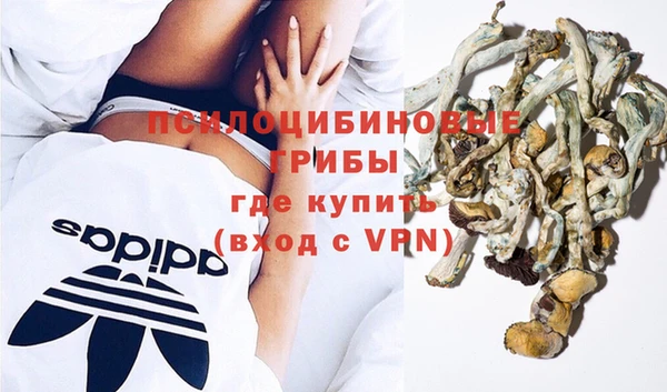 индика Баксан