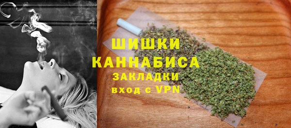 индика Баксан