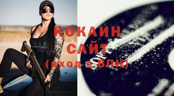 индика Баксан