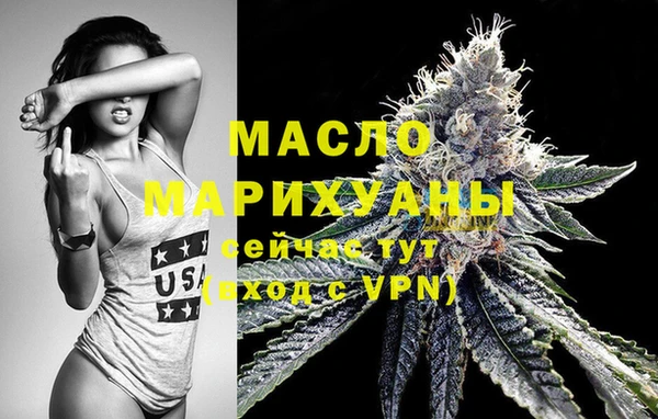 хмурый Арсеньев