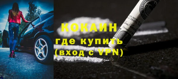 индика Баксан