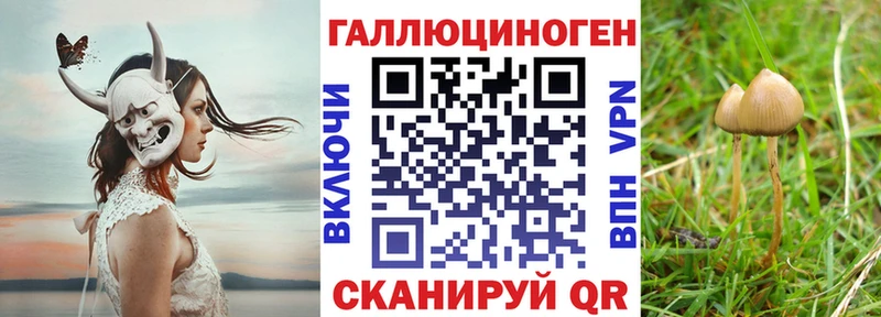 Псилоцибиновые грибы ЛСД  blacksprut ссылки  Углич 